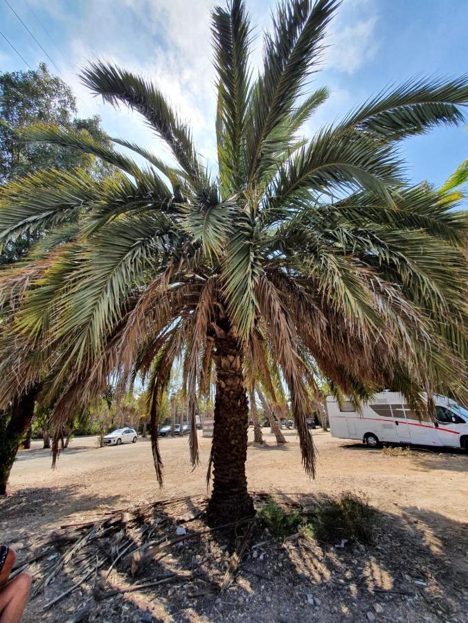 Apartamento Belsol Torrevieja Extérieur photo